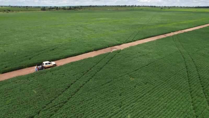 Produtores de soja de Mato Grosso devem se cadastrar até 15 de fevereiro no Indea