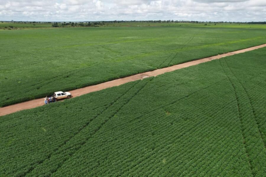 Produtores de soja de Mato Grosso devem se cadastrar até 15 de fevereiro no Indea