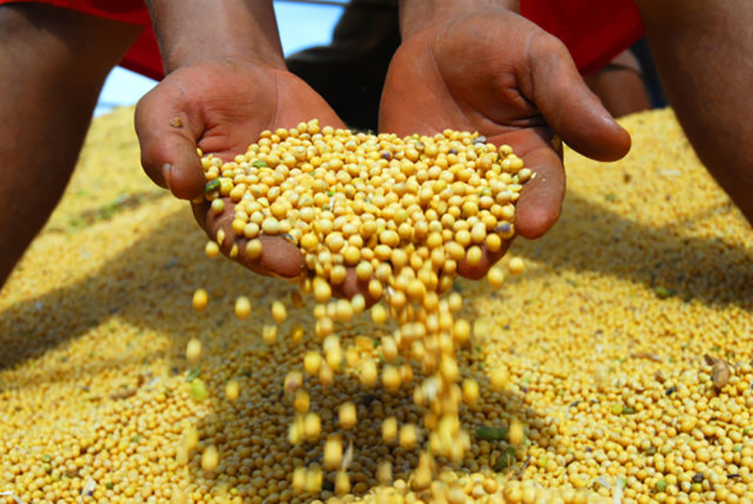 Soja disponível em Mato Grosso cai 0,72%