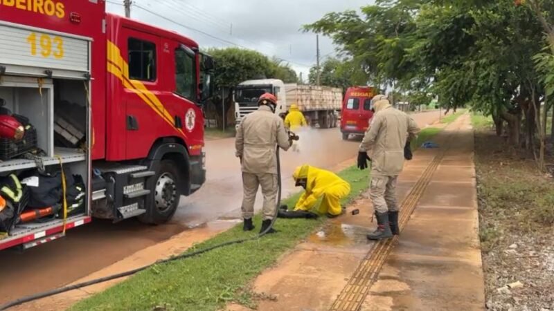 Bombeiros de Sinop resgatam mulher e animais atacados por abelhas agressivas; 4 cães morreram