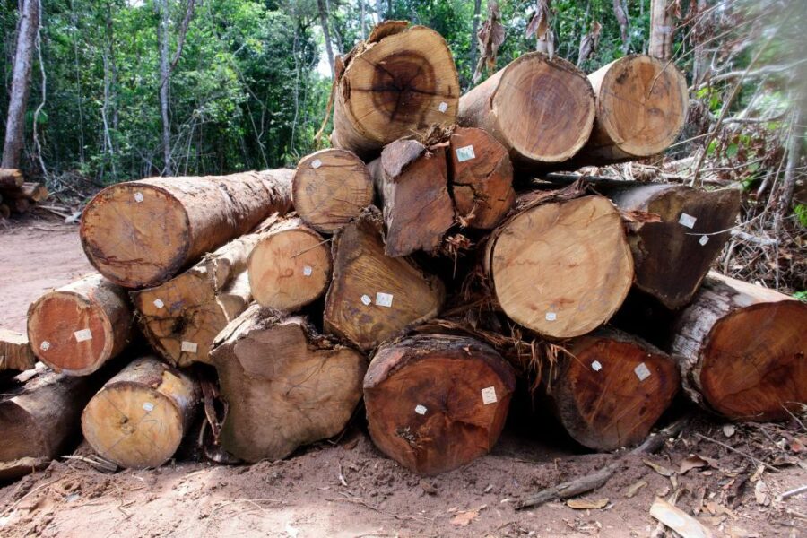 Mato Grosso proíbe manejo florestal sustentável até 1º de abril para proteger solo