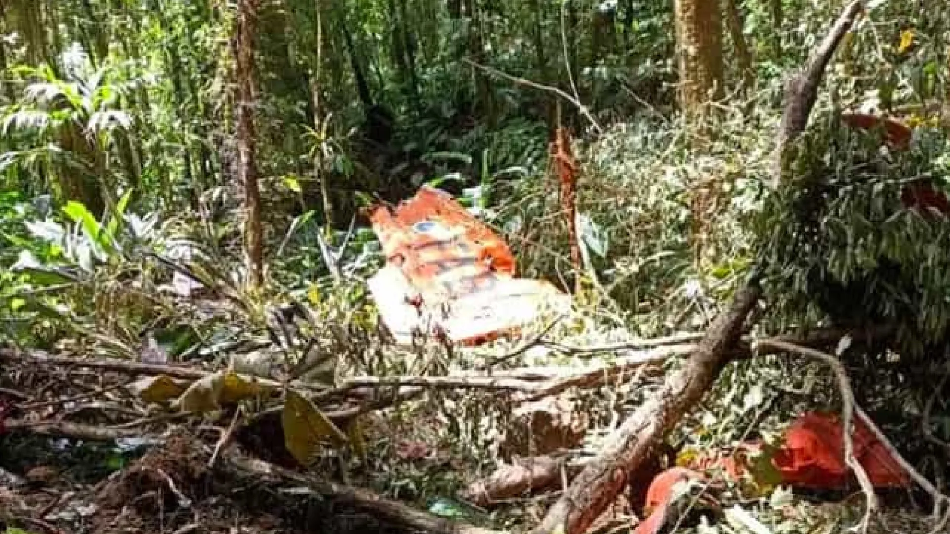 Avião de pequeno porte cai em plantação no Pará e deixa dois feridos