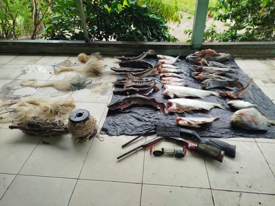 Nova Monte Verde: Batalhão Ambiental da PM prende dono de restaurante e apreende cerca de 50 quilos de pescado irregular
