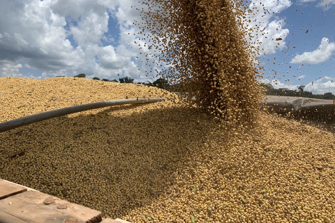 Soja disponível em Mato Grosso sobe 2,4%