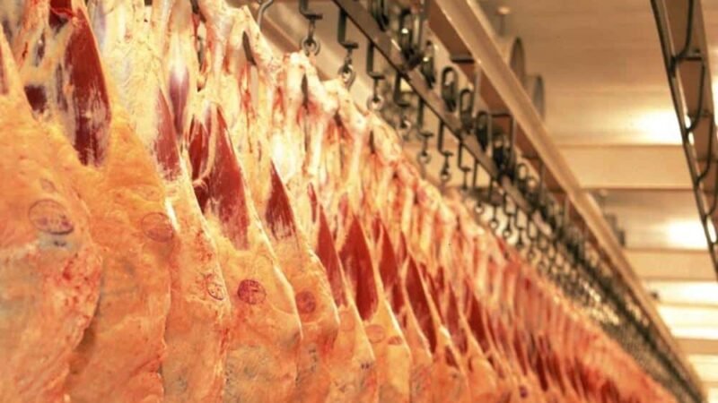 Mato Grosso atinge 2º maior volume de exportações de carne