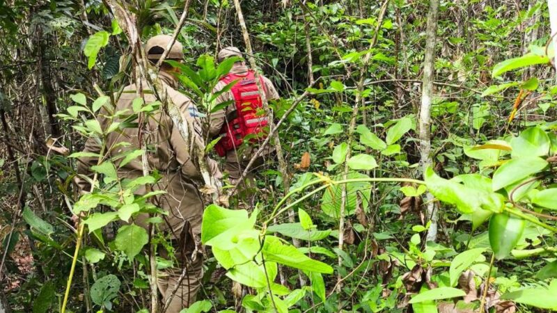 Paranatinga: Bombeiros realizam buscas por criança indígena de um ano e oito meses desaparecida há três dias em área de mata