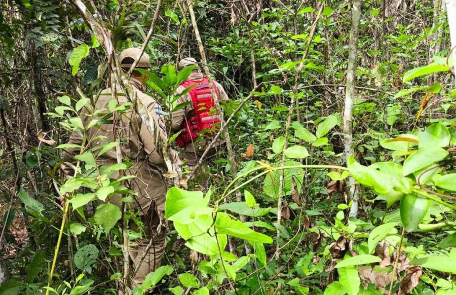 Paranatinga: Bombeiros realizam buscas por criança indígena de um ano e oito meses desaparecida há três dias em área de mata