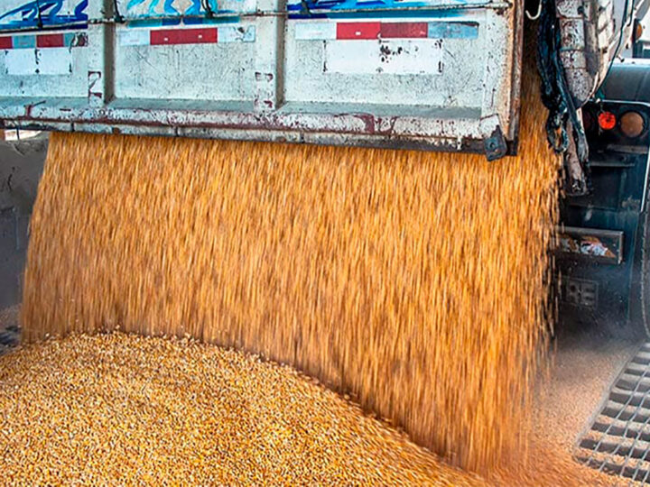 Soja disponível em Mato Grosso tem queda de 1,2% no preço