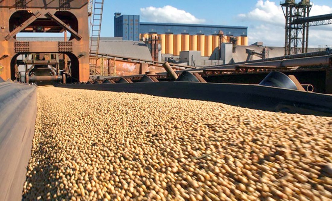 Esmagamento de soja em Mato Grosso é recorde; preço com tendência de queda