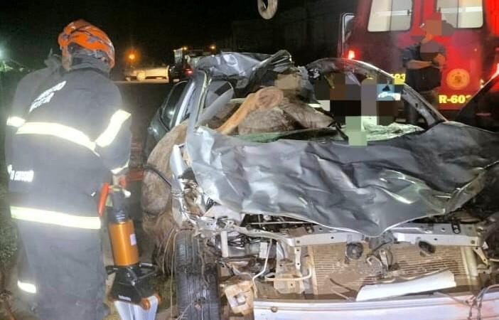 Motorista morre em acidente com cavalos na MT-170, em Brasnorte