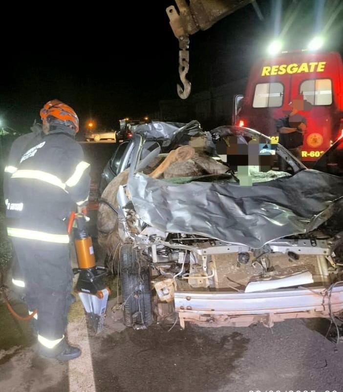 Motorista morre em acidente com cavalos na MT-170, em Brasnorte