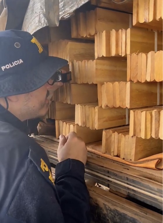 PRF apreende madeira com documentação irregular em Pontes e Lacerda; Amostras coletadas confirmam madeira de essência divergente da declarada em documentos