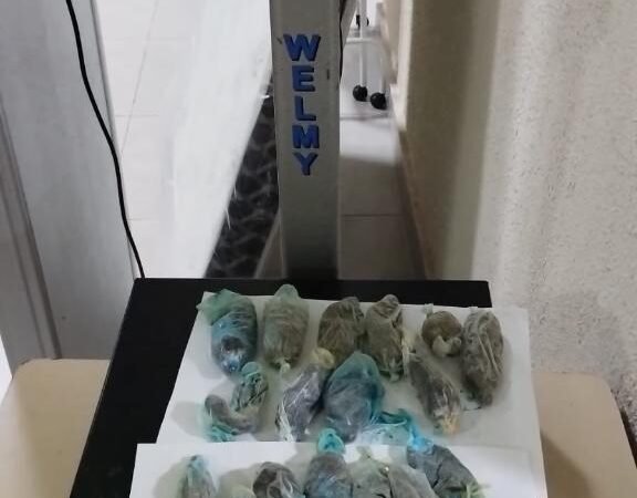 Tolerância Zero: Polícia Penal impede visitante de levar drogas em tubos de creme dental para presídio de Várzea Grande