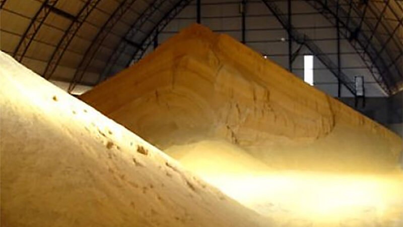Preço do farelo de soja sobe em Mato Grosso