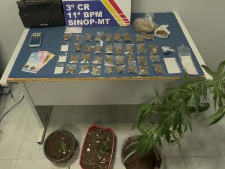 Polícia Militar prende homem com porções e pés de maconha em Sinop