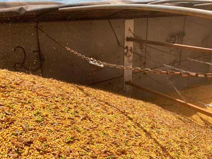 Cotação da soja em Mato Grosso sobe 1,6% e média vai a R$ 110