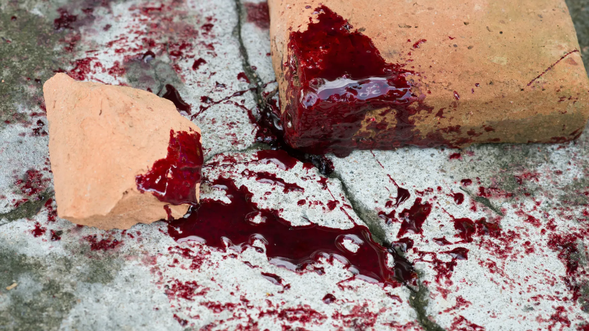 Mulher é morta em ataque do próprio pitbull dentro de casa em Goiás