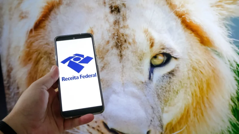 IR 2025: onde baixar o aplicativo para declarar o Imposto de Renda?
