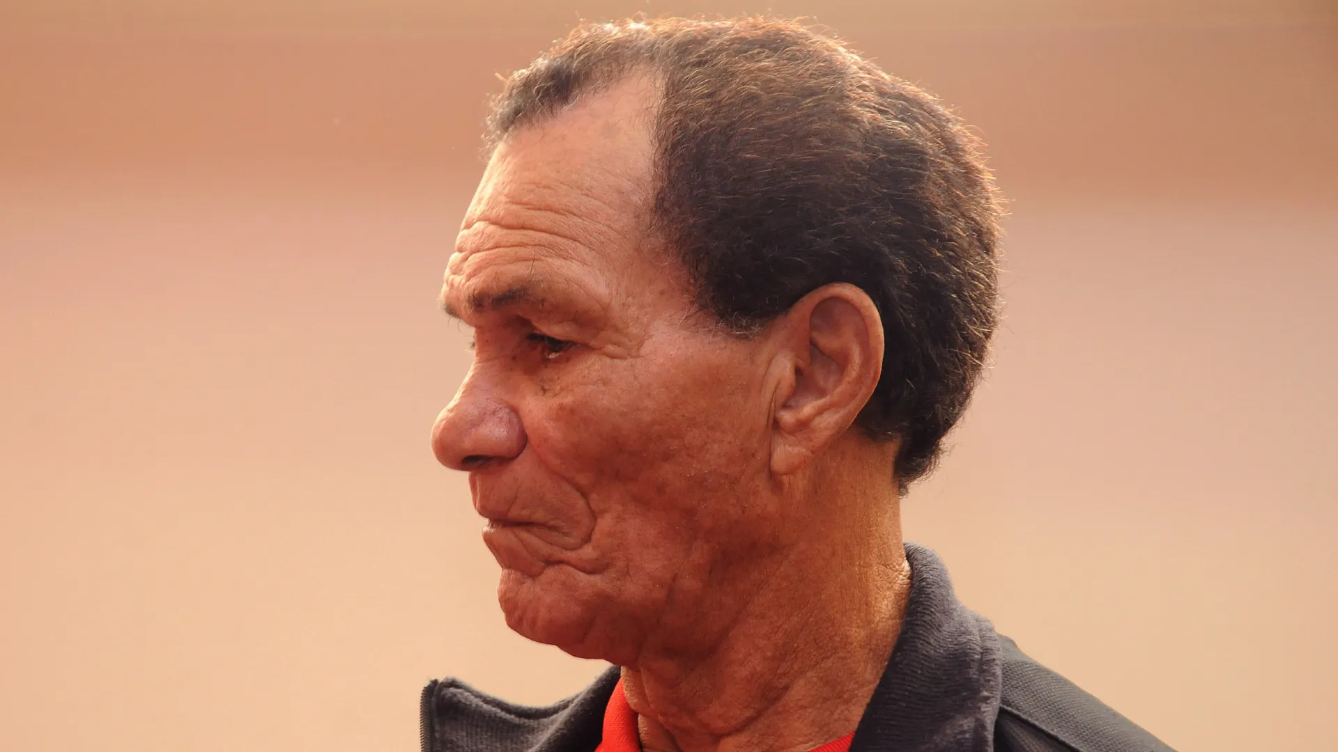 Botafogo terá homenagem a Manga em camisa de jogo da Libertadores