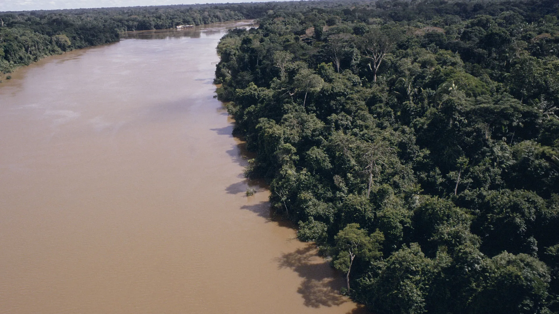 Rio Madeira está perto da cota de inundação em Rondônia