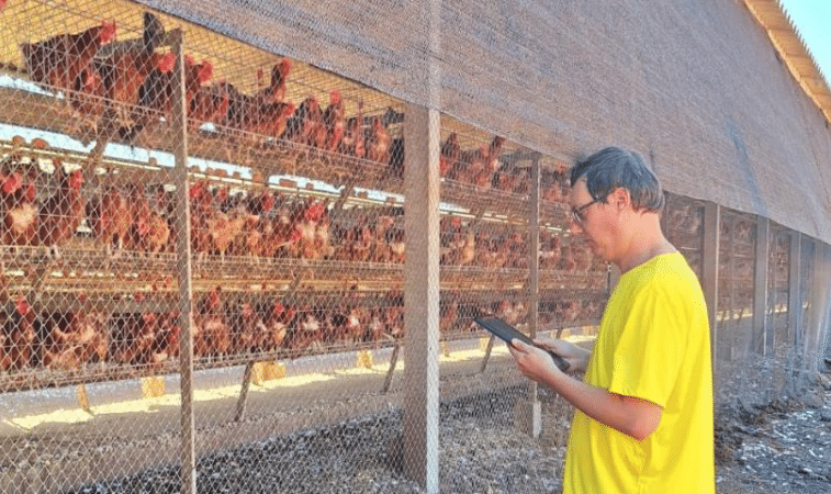 INDEA aumenta fiscalização em Mato Grosso após 1º caso de gripe aviária no Brasil