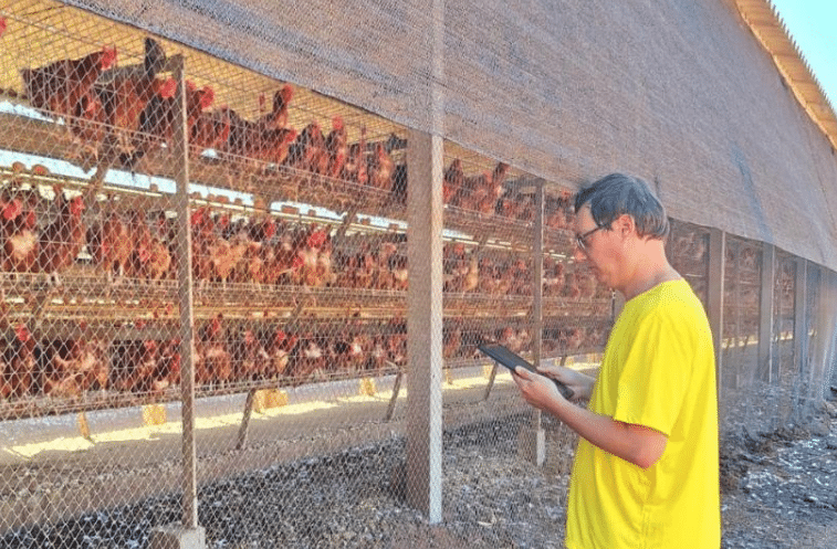 INDEA aumenta fiscalização em Mato Grosso após 1º caso de gripe aviária no Brasil