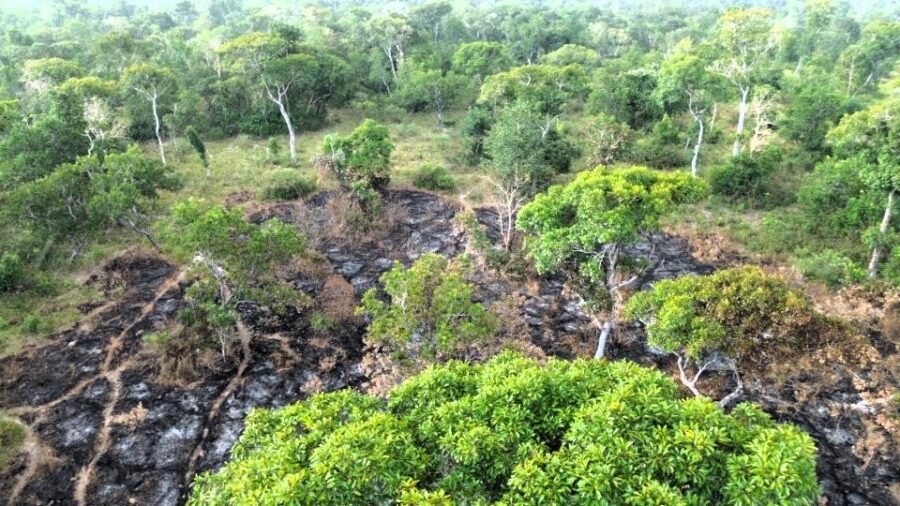 Corpo de Bombeiros aplica R$ 13 milhões em multas por uso irregular do fogo em MT