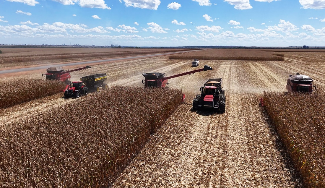 Mato Grosso mantém liderança nacional e se consolida como potência agrícola global