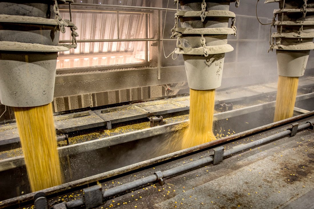 Venda da soja em MT aumenta; produtores fazem caixa e abrem espaço nos armazéns