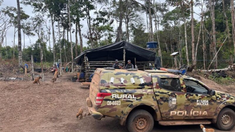 Crianças são resgatadas em extração ilegal de madeira em Juara; mãe e dois homens são presos por trabalho infantil e crime ambiental