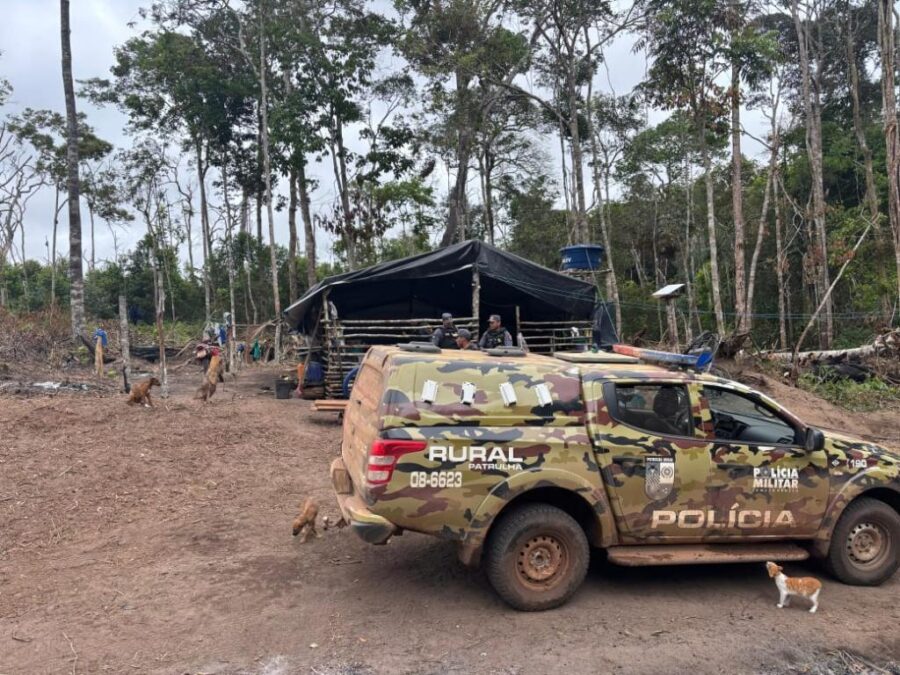 Crianças são resgatadas em extração ilegal de madeira em Juara; mãe e dois homens são presos por trabalho infantil e crime ambiental