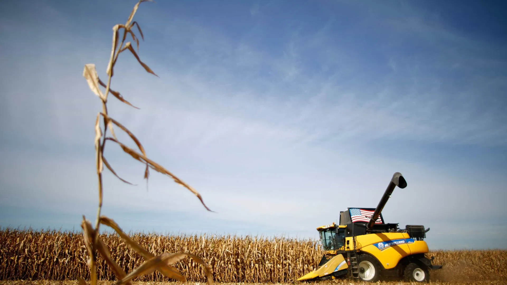 Governo lança Plano Safra para agricultura familiar com repasse de R$ 89 bi