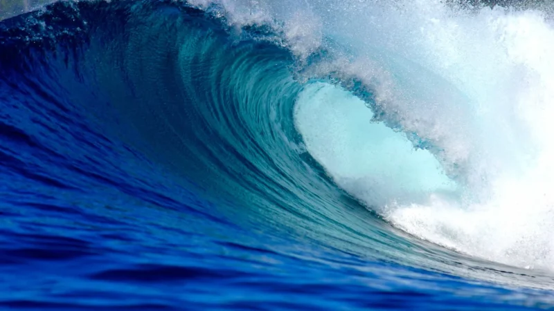 Surfar no Havaí vai ficar mais caro a partir de 2026; entenda