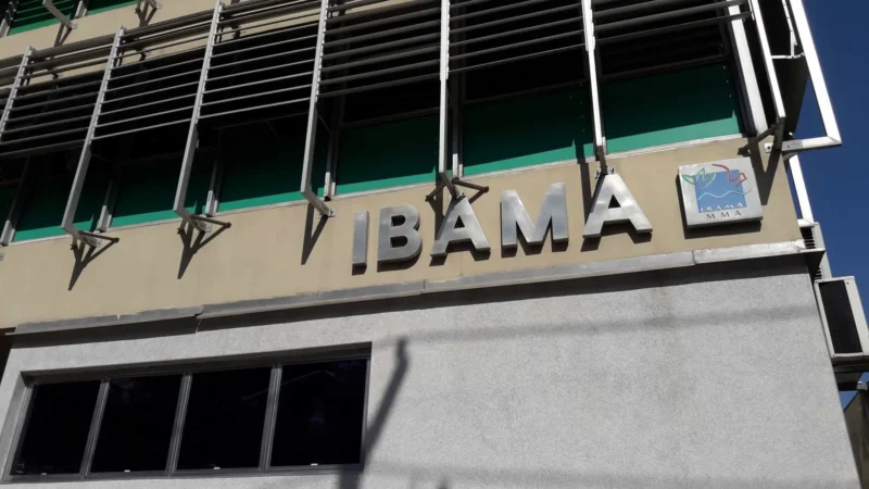 Leilão de petróleo na Foz do Amazonas pode criar fila no Ibama