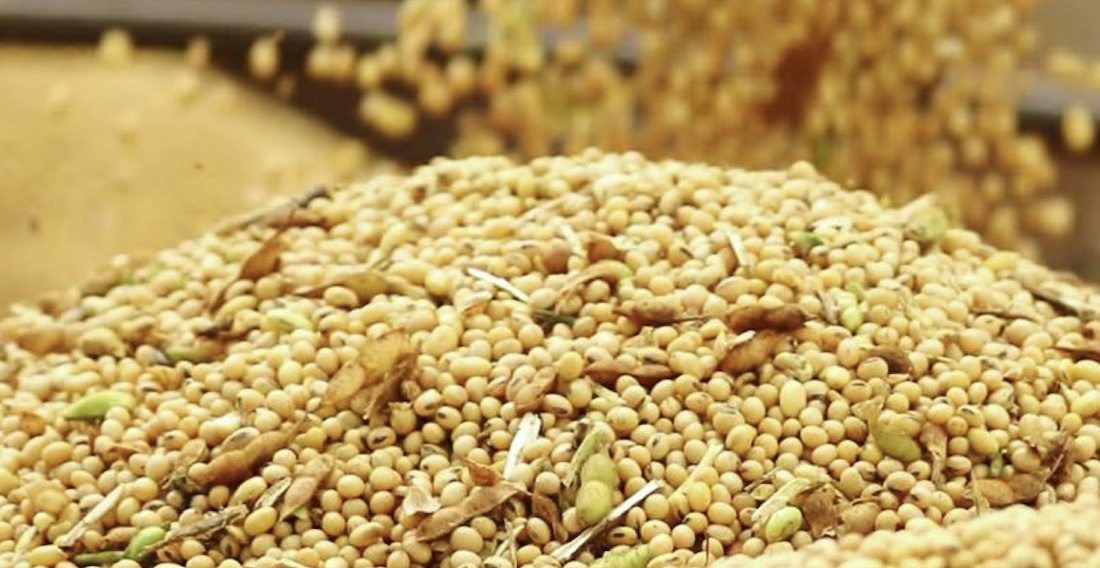 Soja disponível em Mato Grosso sobe 1% e média vai a R$ 109