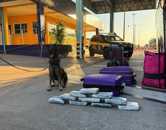 Mulher é presa com 10 tabletes de maconha em ônibus na BR-364, em Cuiabá