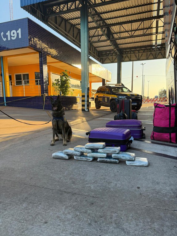 Mulher é presa com 10 tabletes de maconha em ônibus na BR-364, em Cuiabá
