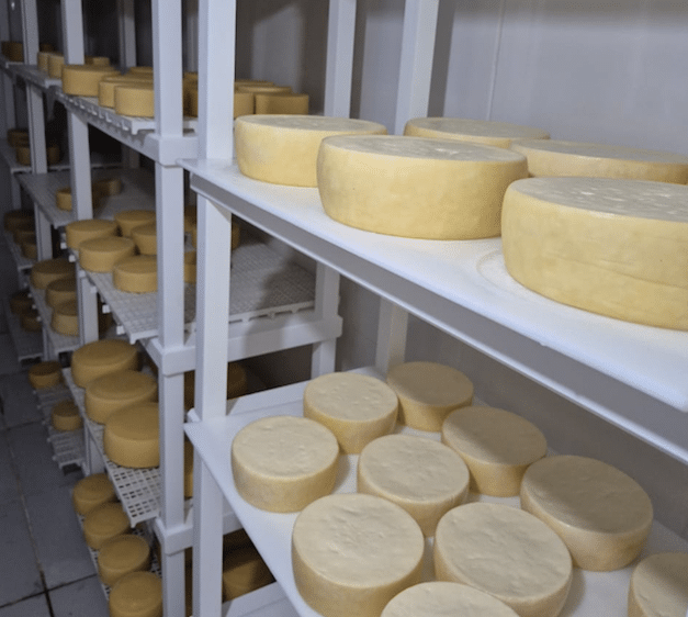 Produtor de Mato Grosso é premiado em concurso nacional de queijos artesanais