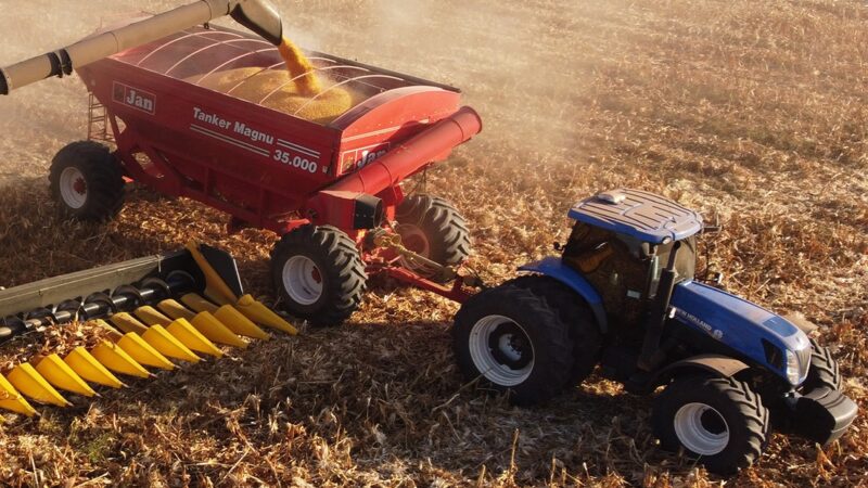 Cotação do milho em Mato Grosso em relação a de Chicago cai 11%, diz IMEA