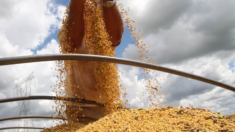 Cotação da soja em Mato Grosso tem alta