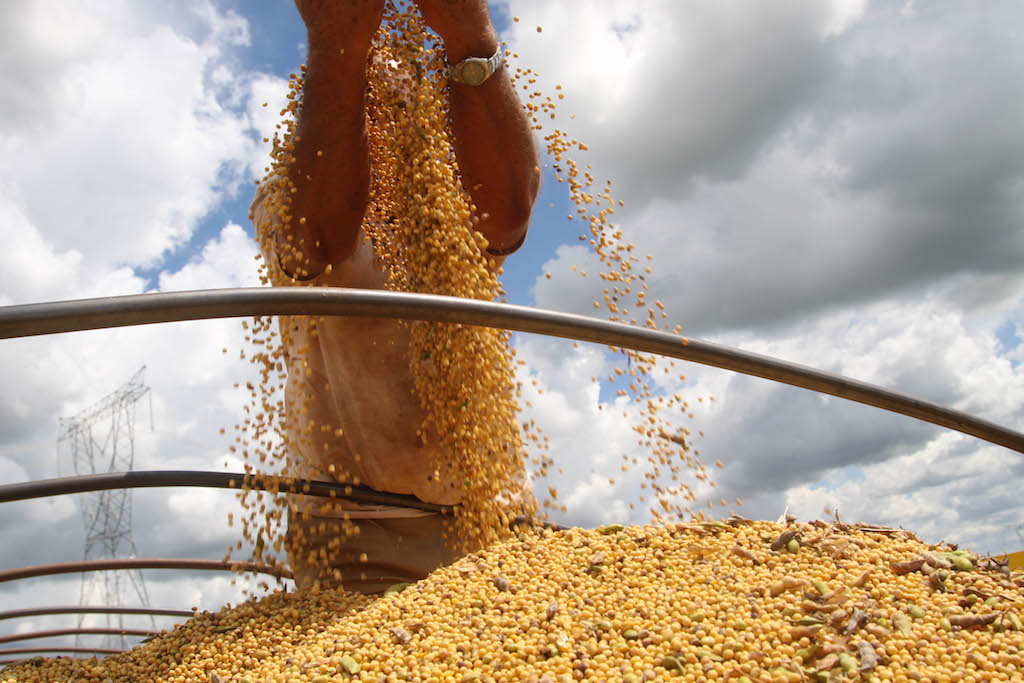 Cotação da soja em Mato Grosso tem alta