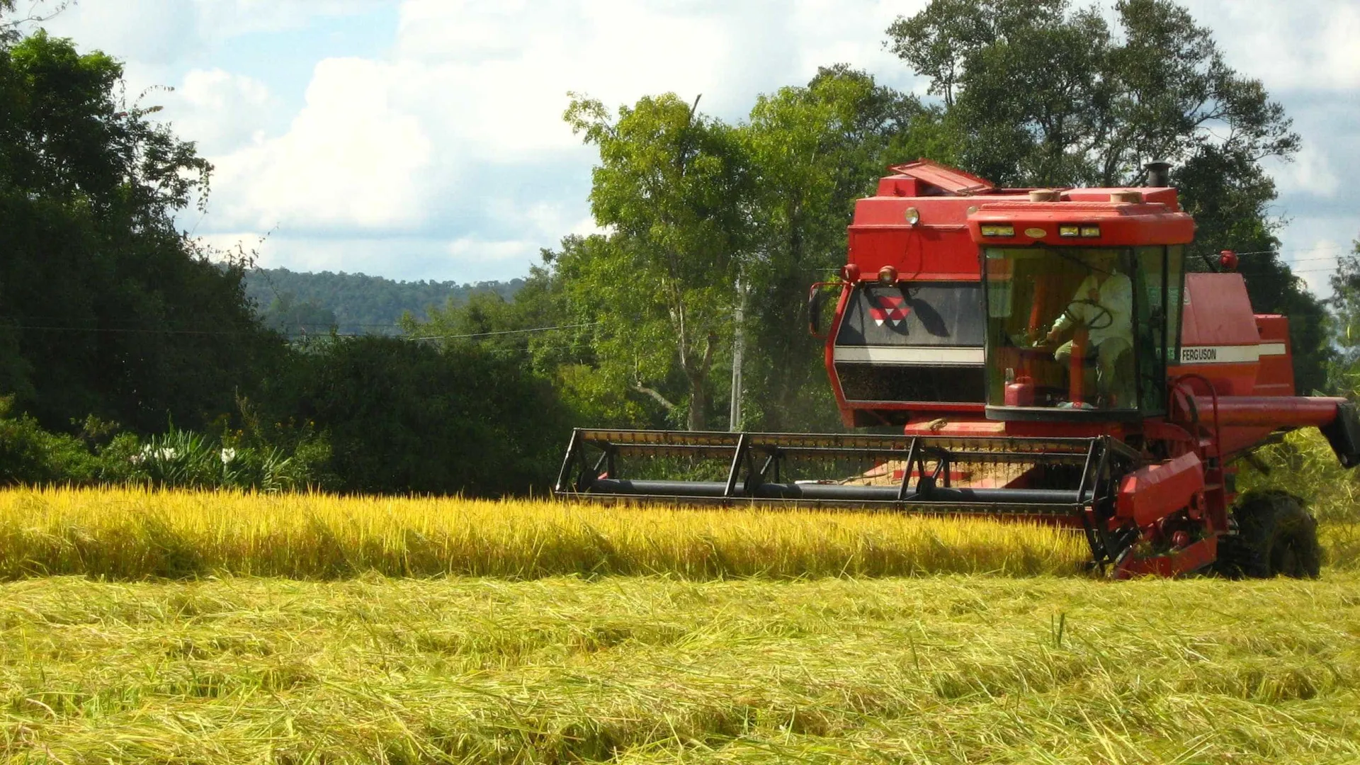 LCA, LCI, CRI e CRA: entenda o que são e para que servem