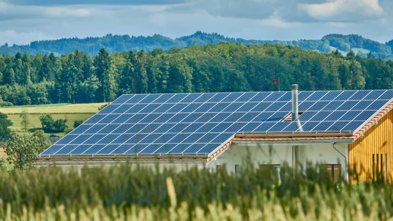 Europa tem blecautes e também pico de geração solar durante onda de calor