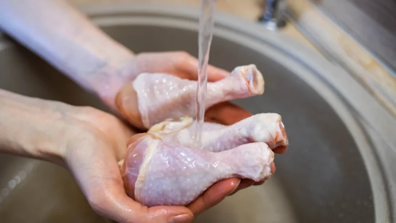 Gripe aviária: África do Sul e Cingapura retomam importação de frango brasileiro