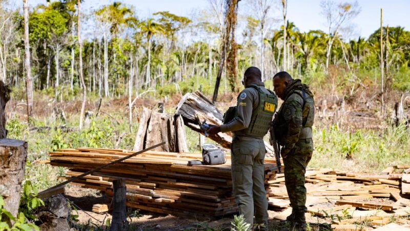 Sema aplica R$ 1,3 bilhão em multas por crimes ambientais em Mato Grosso no 1º semestre