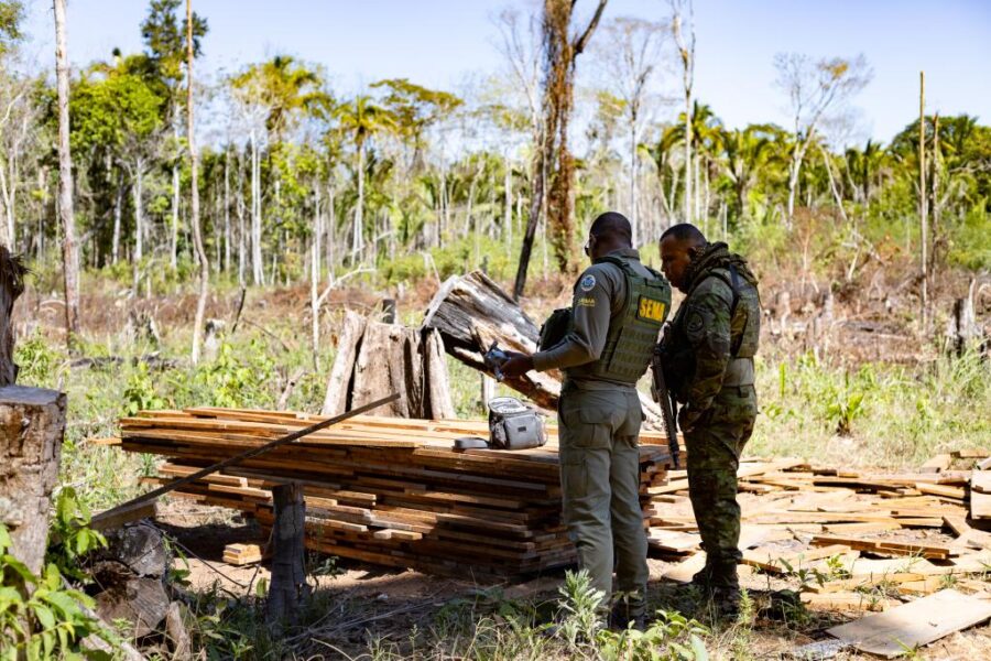 Sema aplica R$ 1,3 bilhão em multas por crimes ambientais em Mato Grosso no 1º semestre