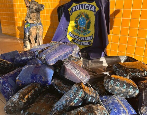 PRF apreende 50 tabletes de skunk em ônibus e detém casal em Santo Antônio de Leverger
