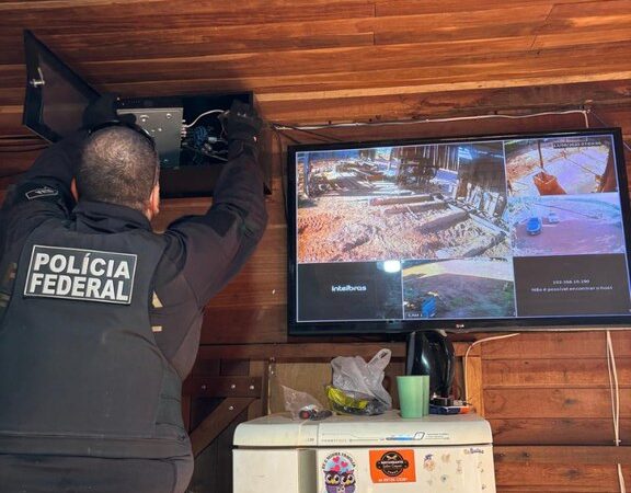 PF deflagra operação contra desmatamento ilegal em Terra Indígena Menkü