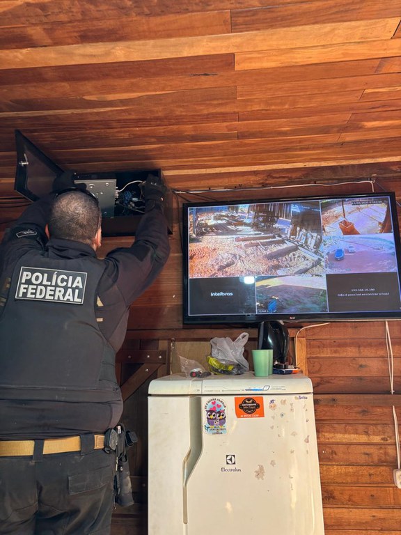 PF deflagra operação contra desmatamento ilegal em Terra Indígena Menkü