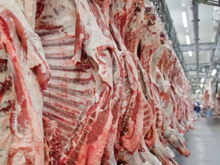 Mato Grosso aumenta 31% exportações de carne; China compra mais